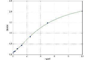 ADAM Metallopeptidase Domain 10 (ADAM10) ELISA Kit