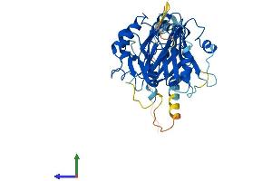 AlphaFold protein structure predicition of Human Recombinant FBXO22 Protein, UniprotID Q8NEZ5