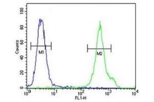 CD1e antibody flow cytometric analysis of MDA-MB435 cells (right histogram) compared to a negative control (left histogram).
