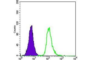 Flow cytometric analysis of HepG2 cells using SMN1 mouse mAb (green) and negative control (purple).