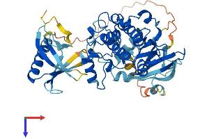 V-Akt Murine Thymoma Viral Oncogene Homolog 2 (AKT2) (AA 1-481) protein (His tag)