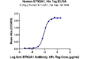 Immobilized Human BTN3A1 at 0.