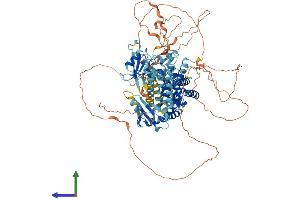 AlphaFold protein structure predicition of Human Recombinant RIN2 Protein, UniprotID Q8WYP3