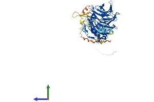 AlphaFold protein structure predicition of Human Recombinant DCAF11 Protein, UniprotID Q8TEB1