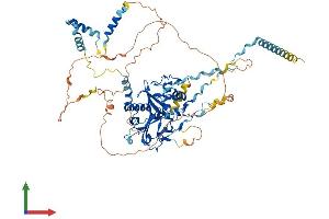 AlphaFold protein structure predicition of Mouse Recombinant Rsph6a Protein, UniprotID Q8CDR2