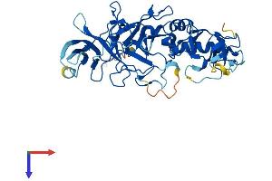 AlphaFold protein structure predicition of Mouse Recombinant Peli1 Protein, UniprotID Q8C669
