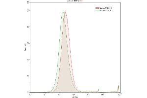Detection of TNFSF13 in Raji human Burkitt's lymphoma cell line using Anti-Tumor Necrosis Factor Ligand Superfamily, Member 13 (TNFSF13) Polyclonal Antibody