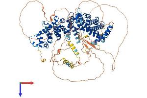AlphaFold protein structure predicition of Human Recombinant PPP6R3 Protein, UniprotID Q5H9R7