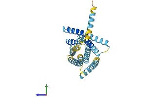 AlphaFold protein structure predicition of Human Recombinant TAS2R5 Protein, UniprotID Q9NYW4