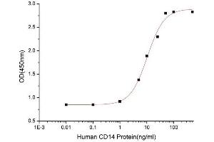 Activity Assay (AcA) image for CD14 (CD14) (AA 20-352) (Active) protein (His tag) (ABIN7607283)