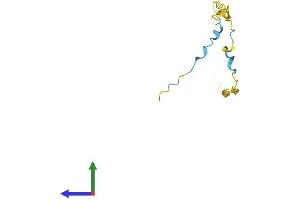 AlphaFold protein structure predicition of Human Recombinant GAGE2A Protein, UniprotID Q6NT46