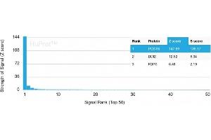 Analysis of Protein Array containing more than 19,000 full-length human proteins using Periostin (POSTN)-Monospecific Mouse Monoclonal Antibody (POSTN/3501).