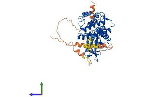 AlphaFold protein structure predicition of Human Recombinant STK40 Protein, UniprotID Q8N2I9