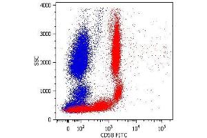 Surface staining of human peripheral blood cells with anti-CD58 (MEM-63) FITC.