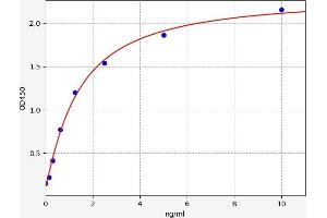 Typical standard curve (ARHGDIA Kit ELISA)