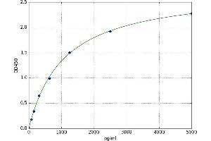 A typical standard curve