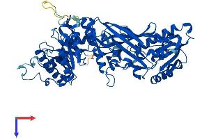 AlphaFold protein structure predicition of Human Recombinant PRMT5 Protein, UniprotID O14744