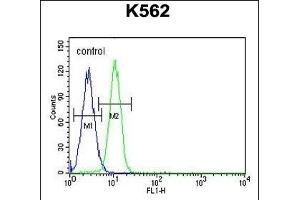 G6PC Antibody (Center) (ABIN651417 and ABIN2840227) flow cytometric analysis of K562 cells (right histogram) compared to a negative control cell (left histogram).