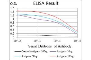 Red: Control Antigen (100ng) ; Purple: Antigen (10ng) ; Green: Antigen (50ng) ; Blue: Antigen (100ng).