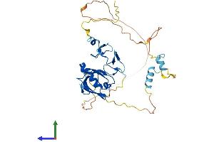 AlphaFold protein structure predicition of Mouse Recombinant Pdlim4 Protein, UniprotID P70271
