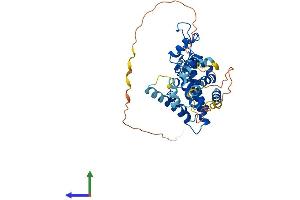 AlphaFold protein structure predicition of Mouse Recombinant Nr2f2 Protein, UniprotID P43135