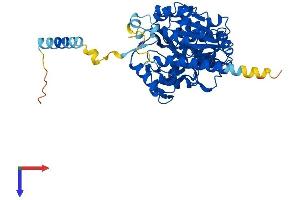 AlphaFold protein structure predicition of Mouse Recombinant Gcnt4 Protein, UniprotID E9Q649