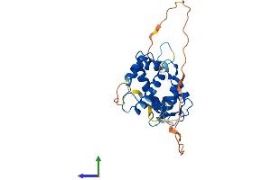 AlphaFold protein structure predicition of Mouse Recombinant Pef1 Protein, UniprotID Q8BFY6