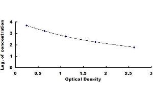 Rabbit Capture antibody from the kit in ELISA with Positive Control: Serum.