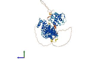 AlphaFold protein structure predicition of Mouse Recombinant Nckipsd Protein, UniprotID Q9ESJ4