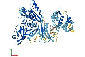 AlphaFold protein structure predicition of Mouse Recombinant Capn13 Protein, UniprotID Q3UW68