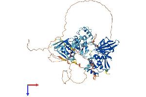 AlphaFold protein structure predicition of Human Recombinant PTPN3 Protein, UniprotID P26045