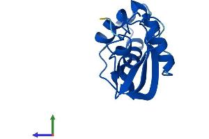 AlphaFold protein structure predicition of Mouse Recombinant Trmt112 Protein, UniprotID Q9DCG9