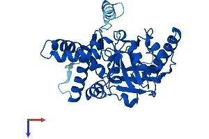 AlphaFold protein structure predicition of Mouse Recombinant Mogat2 Protein, UniprotID Q80W94