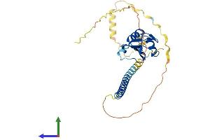AlphaFold protein structure predicition of Human Recombinant RALYL Protein, UniprotID Q86SE5