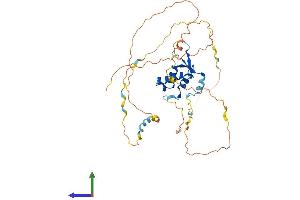 AlphaFold protein structure predicition of Mouse Recombinant Foxl2 Protein, UniprotID O88470