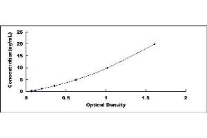 Typical standard curve