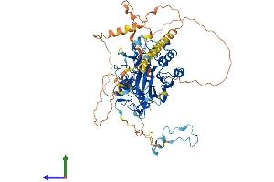 AlphaFold protein structure predicition of Human Recombinant ANGEL1 Protein, UniprotID Q9UNK9