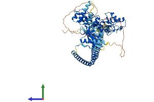 AlphaFold protein structure predicition of Mouse Recombinant Acap1 Protein, UniprotID Q8K2H4