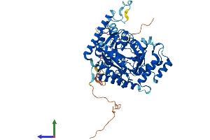 AlphaFold protein structure predicition of Mouse Recombinant Sptlc3 Protein, UniprotID Q8BG54