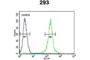 AMH Antibody (Center) flow cytometric analysis of 293 cells (right histogram) compared to a negative control cell (left histogram). (AMH anticorps  (Middle Region))