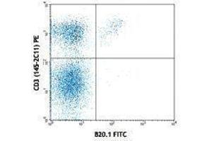 Flow Cytometry (FACS) image for anti-V alpha 2 TCR antibody (FITC) (ABIN2662012) (V alpha 2 TCR anticorps (FITC))