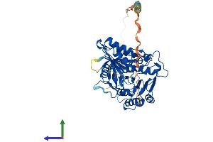 AlphaFold protein structure predicition of Human Recombinant PLD4 Protein, UniprotID Q96BZ4