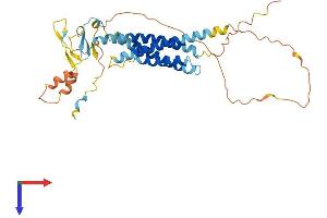 AlphaFold protein structure predicition of Human Recombinant TMEM255A Protein, UniprotID Q5JRV8