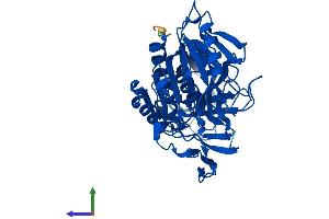 AlphaFold protein structure predicition of Human Recombinant ACOT4 Protein, UniprotID Q8N9L9