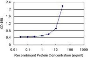 Sandwich ELISA detection sensitivity ranging from 1 ng/mL to 100 ng/mL. (FGF21 (Humain) Matched Antibody Pair)