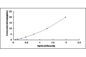 Typical standard curve (Aryl Hydrocarbon Receptor Kit ELISA)