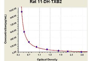 Diagramm of the ELISA kit to detect Rat 11-DH-TXB2with the optical density on the x-axis and the concentration on the y-axis. (11-DH-TXB2 Kit ELISA)