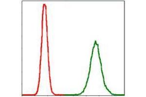 Flow cytometric analysis of MCF-7 cells using PPP2R4 mouse mAb (green) and negative control (red).