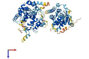 AlphaFold protein structure predicition of Human Recombinant SGSM3 Protein, UniprotID Q96HU1