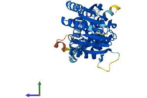 AlphaFold protein structure predicition of Human Recombinant FAM86B2 Protein, UniprotID P0C5J1